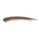 Rimmel london brow this way eyebrow powder kit -  med brown
