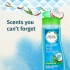 LOOFA BADY CARE SP500