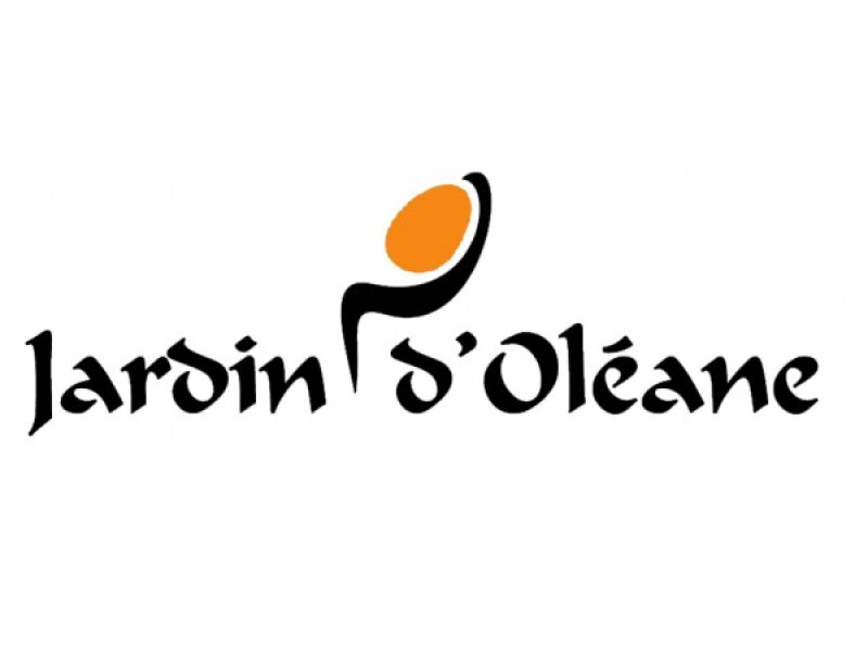 Jardin oleane moroccan black soap 500 gm with argan oil