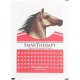 Smart therapy capsicum rheumatic plaster 100pcs