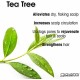 Giovanni tea tree triple treat invigorating conditioner for all hair types 250 ml