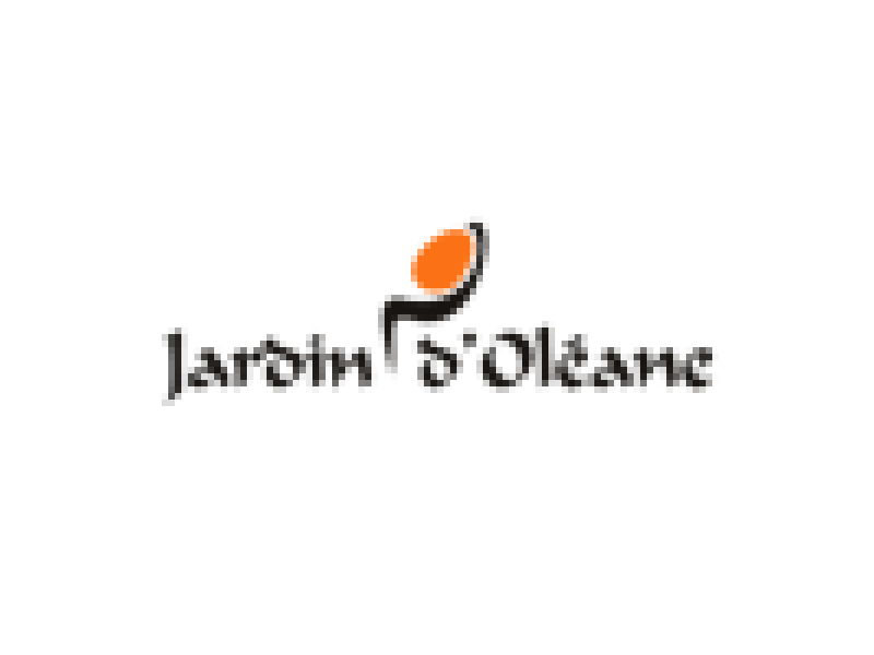 Jardin oleane moroccan black soap lemon 250ml
