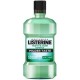 Listerine mouthwash 500 ml teeth & gum