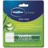 Vaseline lip stick aloe vera 4.8gm