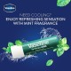 VASELINE MINT LIP CARE 4.8GM