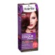 Palette hair color 4-88 inten dark red
