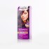 Palette hair color 4-88 inten dark red