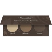 PIERRE RENE BROW PALETTE 03 BRUNETTE