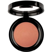 PIERRE RENE ROUGE POWDER 07 RUSTY CHEEK