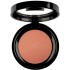 PIERRE RENE ROUGE POWDER 07 RUSTY CHEEK