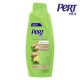 Pert plus shampoo ginger 600ml