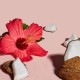 SHEA MOISTURE COCONUT & HIBISCUS HAIR CREAM KIDS 170GM