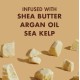 SHEA MOISTURE DEEP TREATMENT MASQUE RAW SHEA BUTTER 326GM