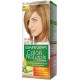 Garnier hair color hazel blonde 7.3