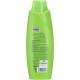 Pert plus shampoo intensive nourish with oil extracts 600ml