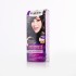 Palette intensive hair color 1-0 black