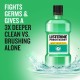 Listerine mouth washes 250 ml fresh burst
