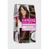 Loreal hair color casting 400 chestnut