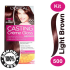 Loreal hair color casting 500 light brown
