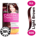 Loreal hair color casting 500 light brown