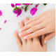 Titania mini nail cutter 1052/1k