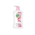Dettol shower gel skin care 500 ml
