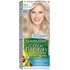 Garnier hair color nature 1001 ashy silver blonde