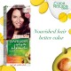 Garnier hair color nature 4.62 sweet cherry