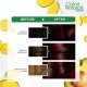 Garnier hair color nature 4.62 sweet cherry