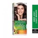 Garnier hair color nature 5.1 light brown gray