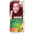 Garnier hair color nature 6.60 fiery pr rd