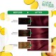 Garnier hair color nature 6.60 fiery pr rd