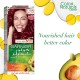 Garnier hair color nature 6.60 fiery pr rd