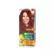 Garnier hair color nature 6.60 fiery pr rd