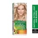 Garnier hair color nature 9.1natural extra light ash blond
