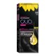 Garnier hair color olia 2.0 black noir