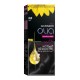 Garnier hair color olia 2.0 black noir