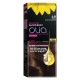 Garnier hair color olia 4.8 mocha